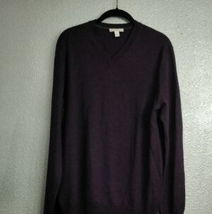 Gap Men's Merino Wool Solid V Neck Purple Sweater   Size S